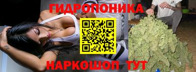 тгк Коммунар