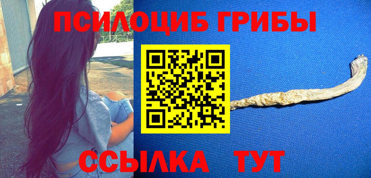 Галлюциногенные грибы мицелий Красногорск